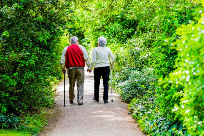 Can Living in a Green Belt Reduce the Risk of Dementia?