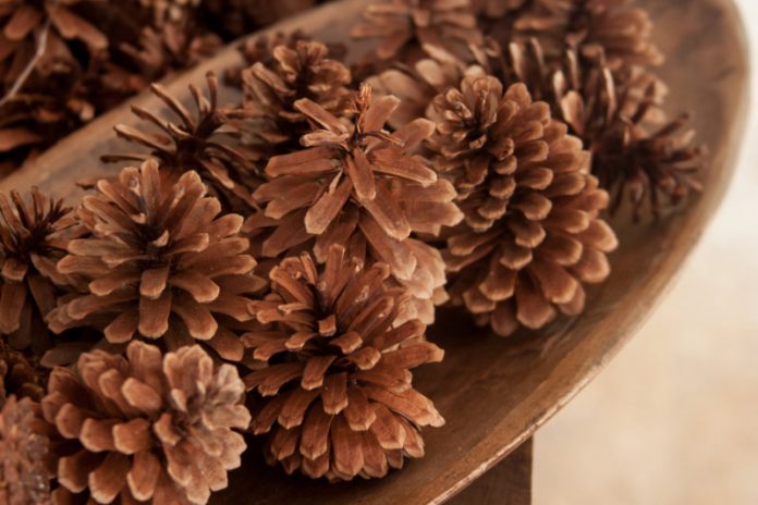 Scented Pine Cones