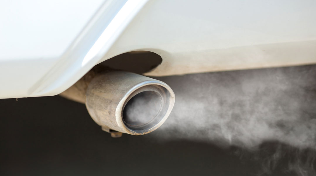 Science says ozone air pollution could harm womens fertility