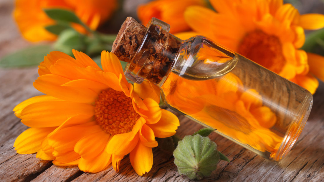 calendula-oil
