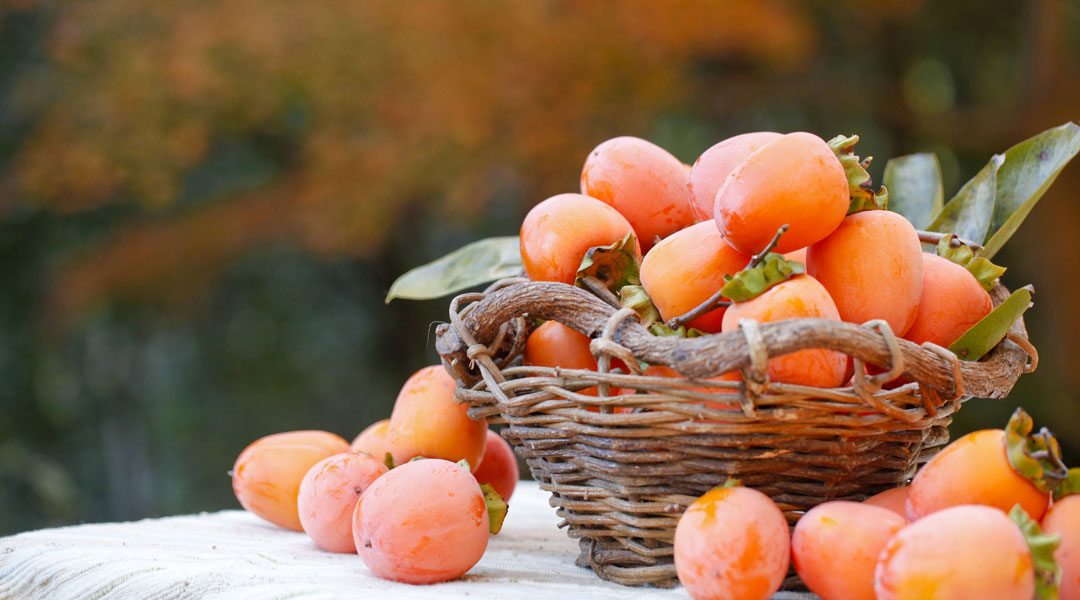 Discover persimmon a light and healthy fruit